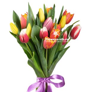 BOUQUET OF 15 TULIPS